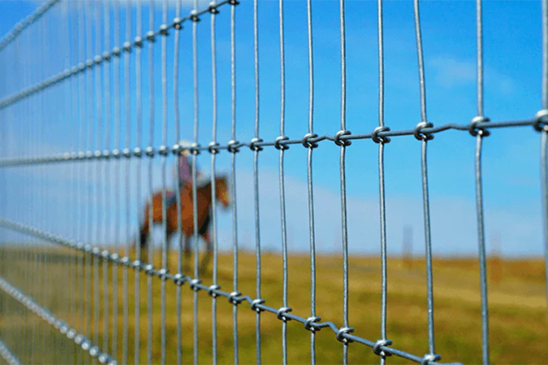 Wire-Mesh-Fencing